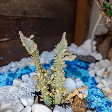 9-4 Private Prázdninový dům