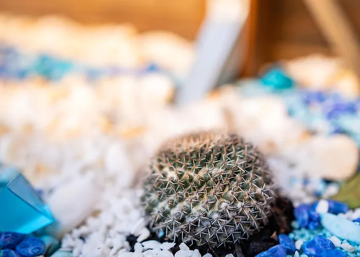 9-4 Private Prázdninový dům