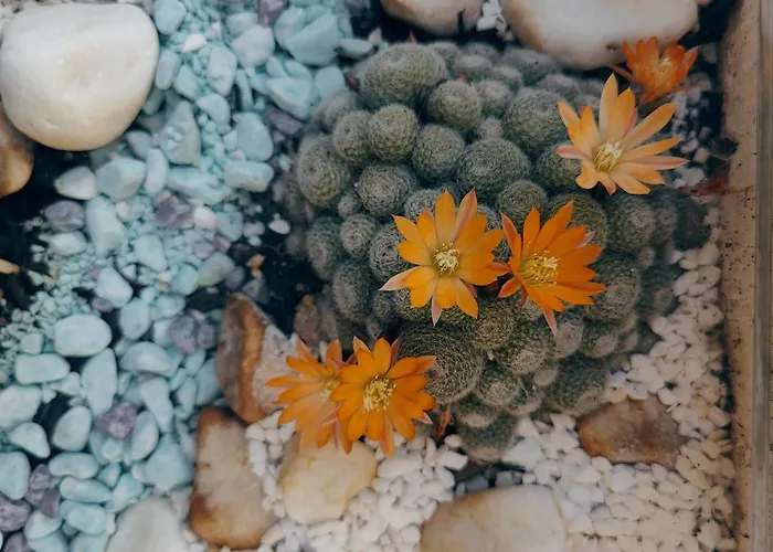 9-4 Private 別荘 *