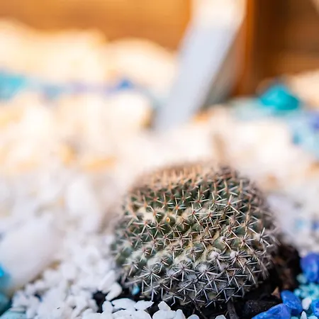 9-4 Private Holiday home